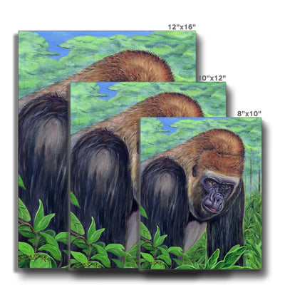Gorilla gorilla  Canvas