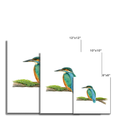 Kingfisher Hahnemühle German Etching Print