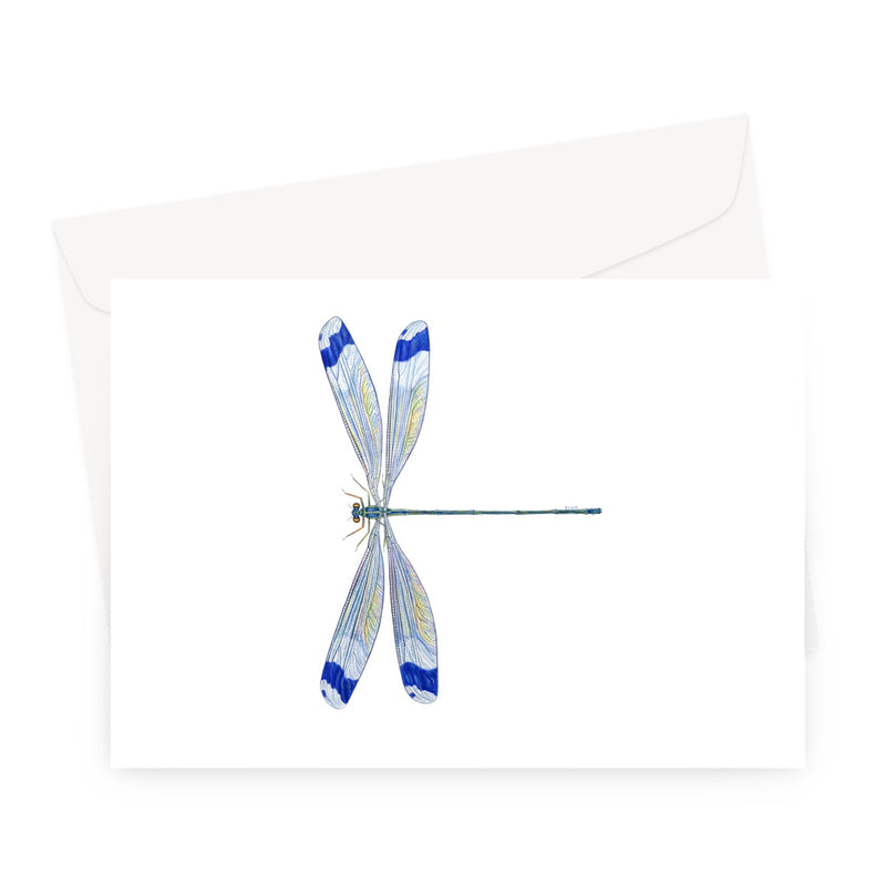 Helicopter Damselfly Greeting Card