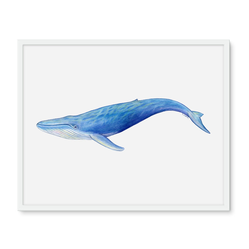 Blue Whale Framed Photo Tile