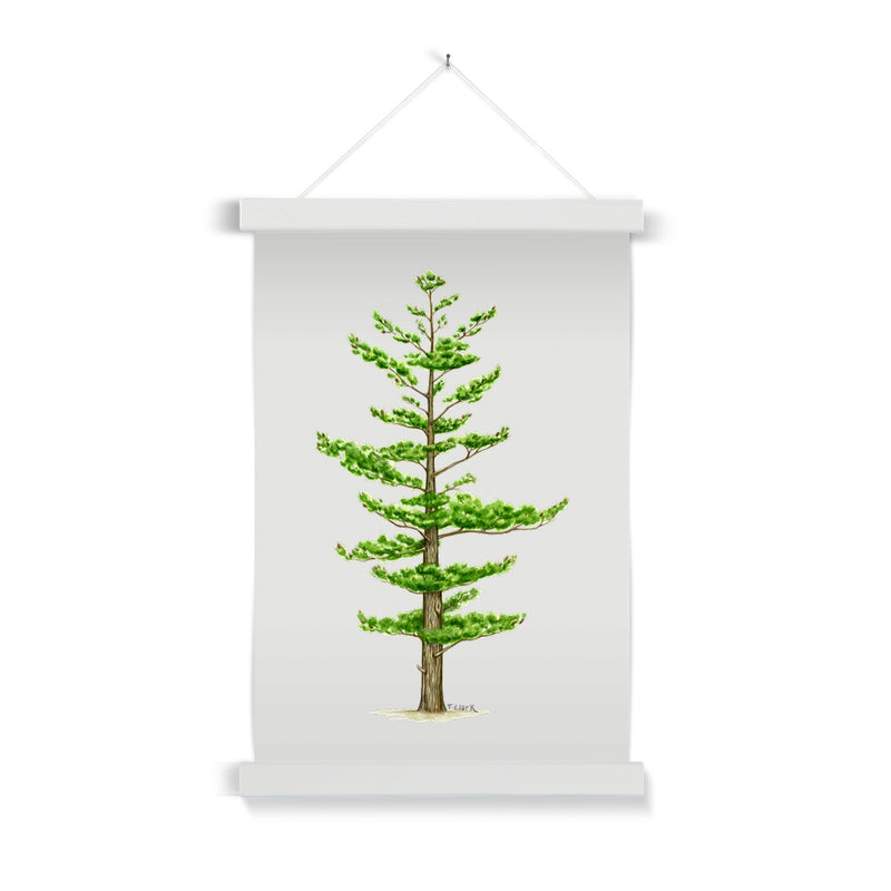 White Pine Fine Art Print with Hanger