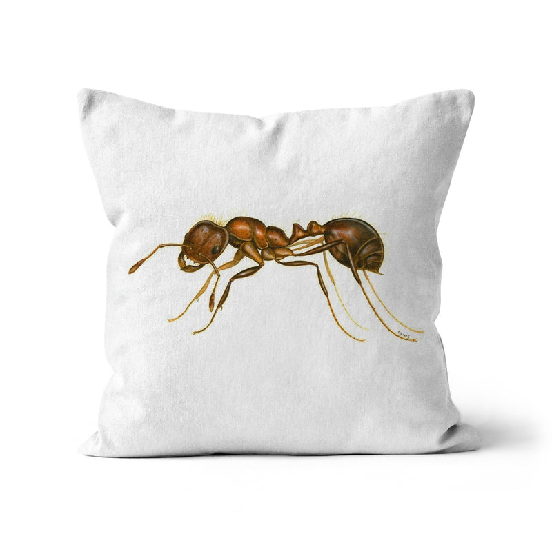 Fire Ant Cushion