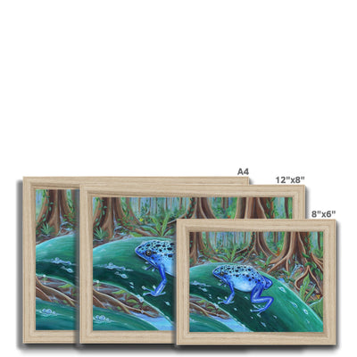 Blue Poison Dart Frog Framed Print