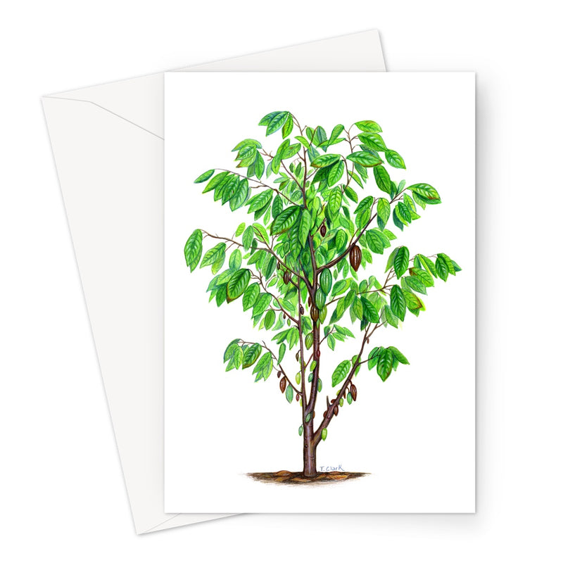 Cacao Tree Greeting Card