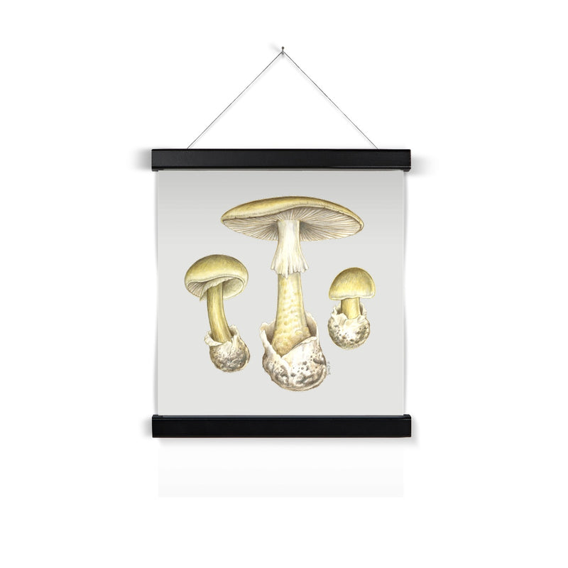 Deathcap Mushroom Fine Art Print with Hanger