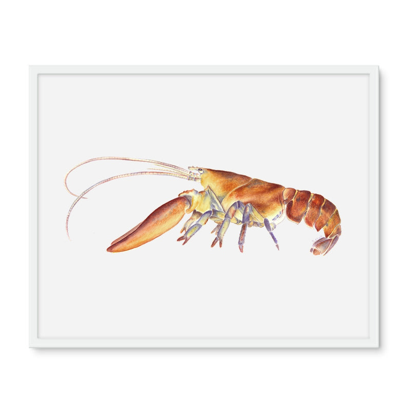 Northern Lobster Framed Photo Tile