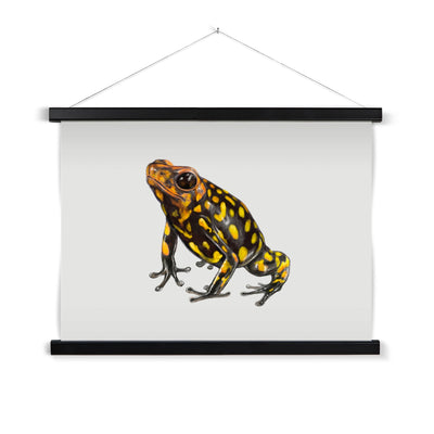 Harlequin poison frog Fine Art Print with Hanger