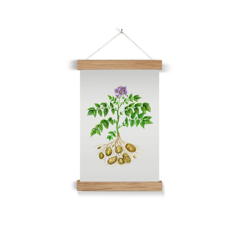 Potato  Fine Art Print with Hanger