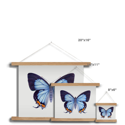 Imperial Blue Butterfly Fine Art Print with Hanger
