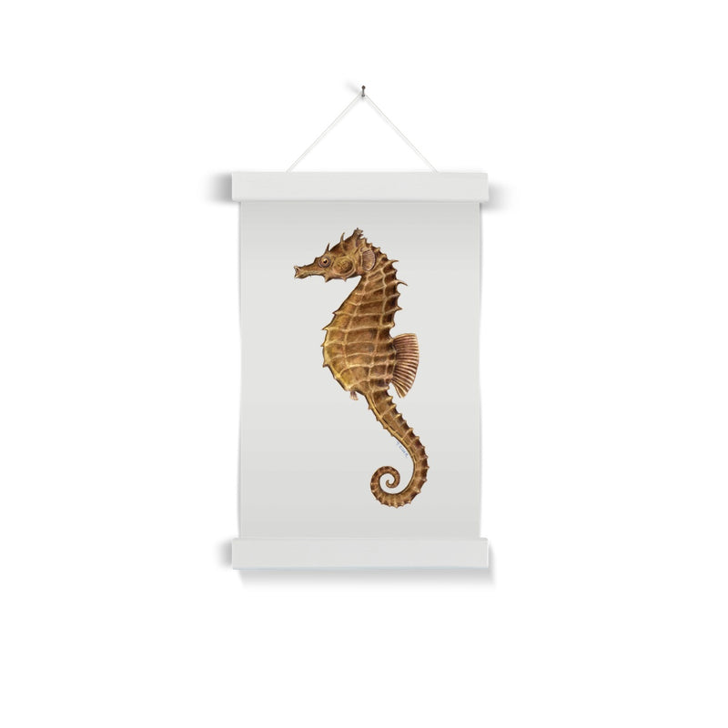 Northern Seahorse Fine Art Print with Hanger