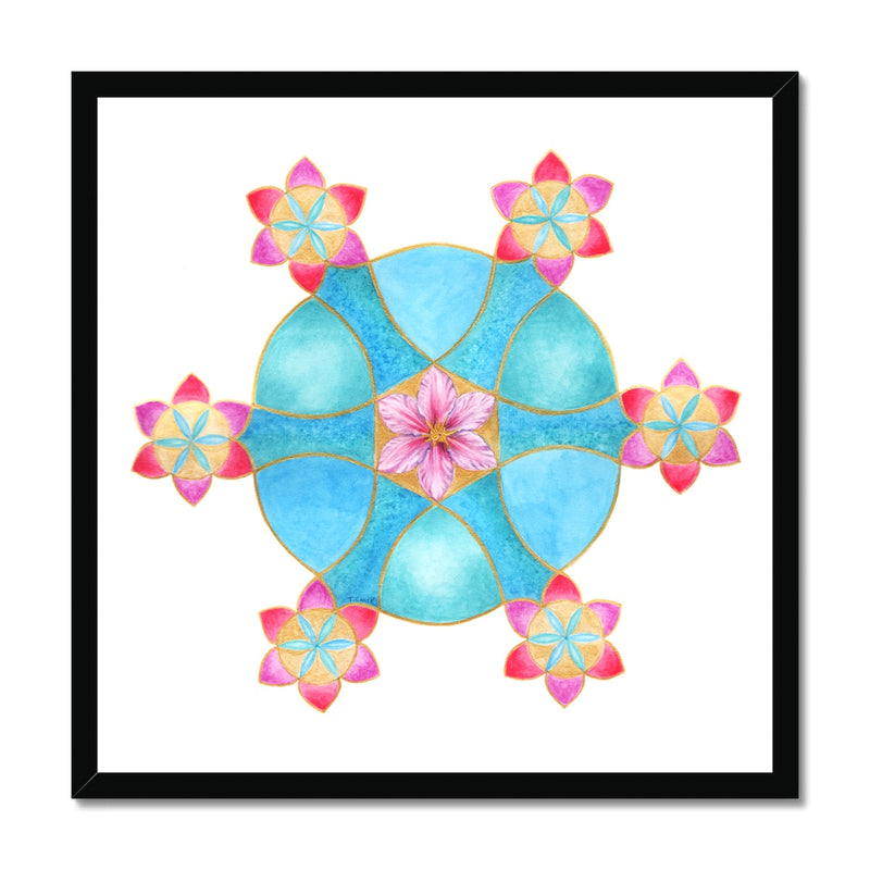Spinning Sixes & Clematis  Framed Print