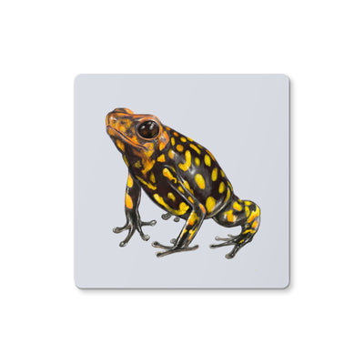 Harlequin poison frog Coaster