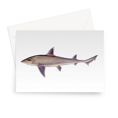 Smooth Dogfish Greeting Card