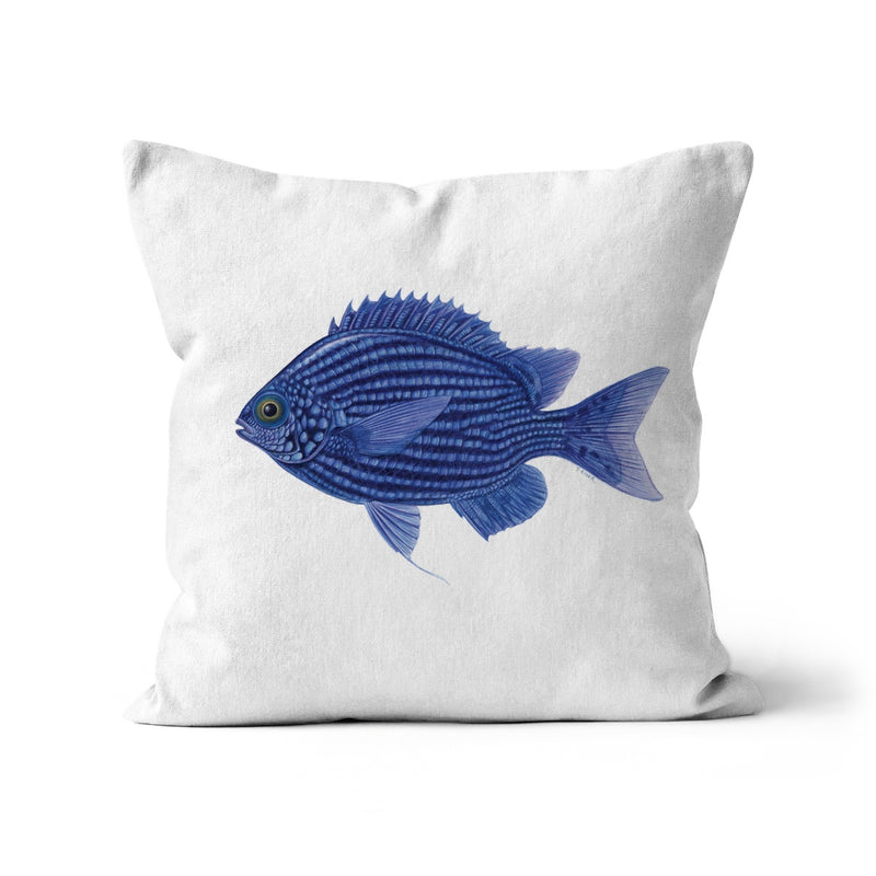 Deep Blue Chromis Cushion