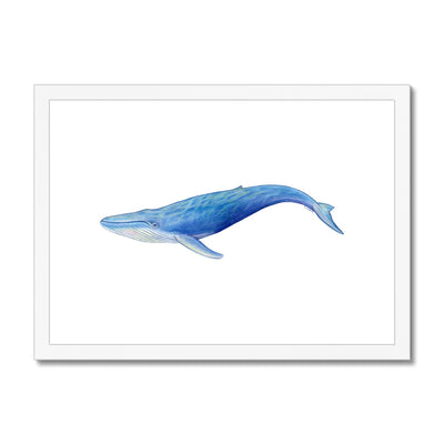 Blue Whale Framed & Mounted Print