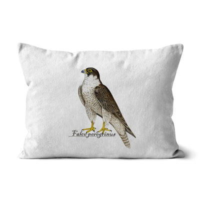 Peregrine Falcon Cushion