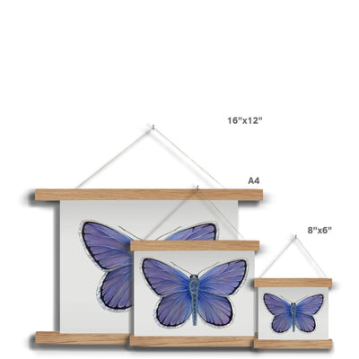 Karner Blue Butterfly Fine Art Print with Hanger