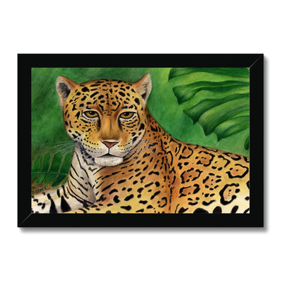 Jaguar Framed Print