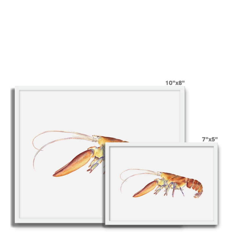 Northern Lobster Framed Photo Tile