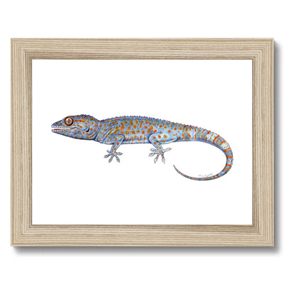 Tokay Gecko Framed Print