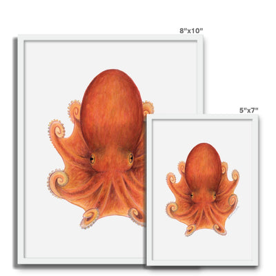 Northern Octopus Framed Photo Tile