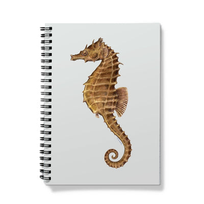 Northern Seahorse Notebook
