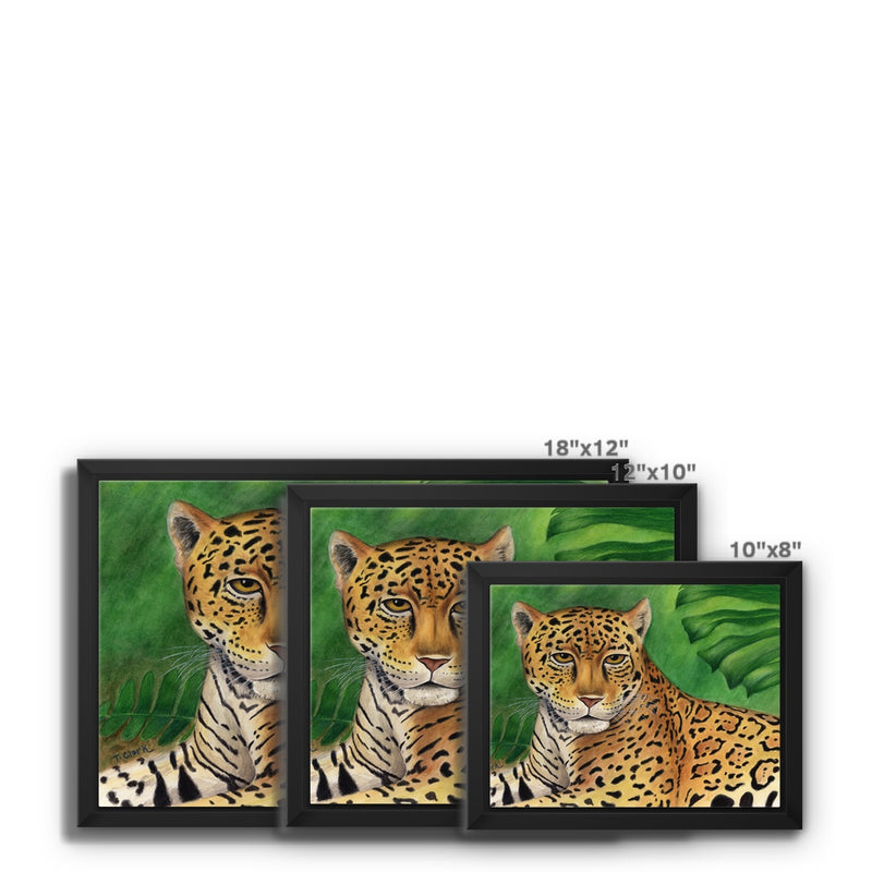Jaguar Framed Canvas