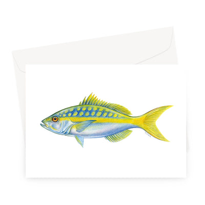 Yellowtail Snapper Greeting Card