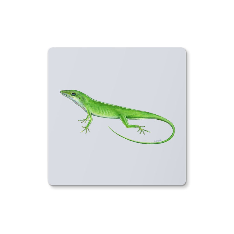 Green Anole Lizard Coaster