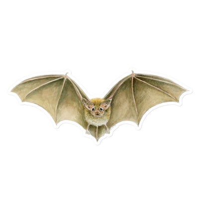 Daubenten's Bat Sticker