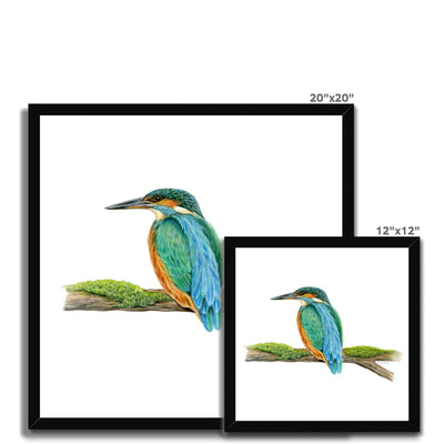 Kingfisher Framed Print