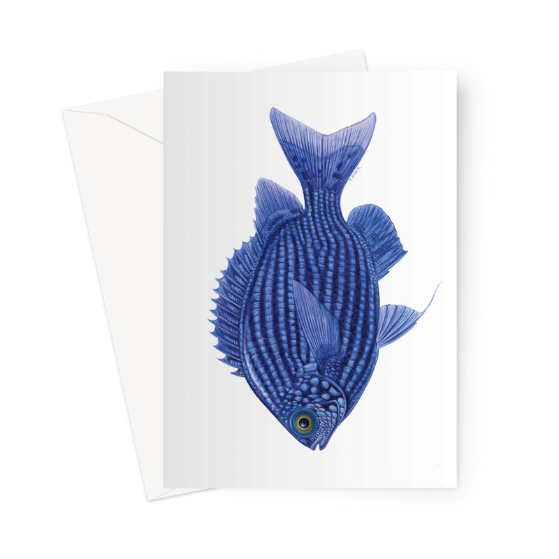 Deep Blue Chromis Greeting Card