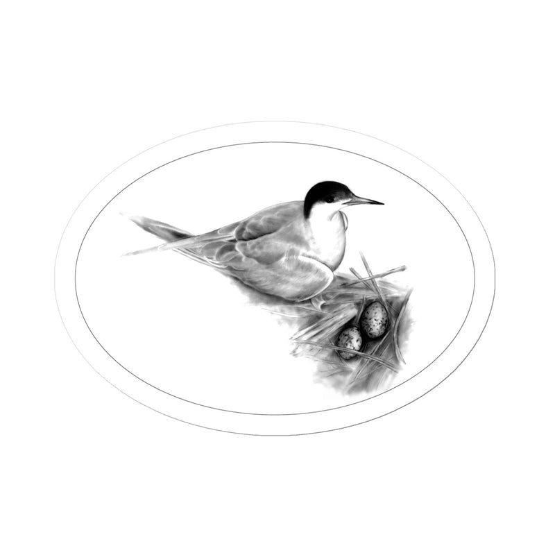 Common Tern Sticker