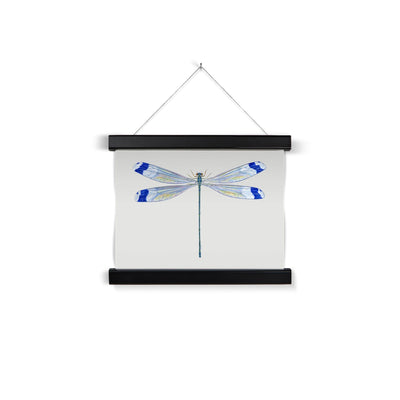 Helicopter Damselfly Fine Art Print with Hanger