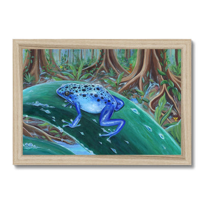 Blue Poison Dart Frog Framed Print
