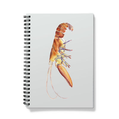 Northern Lobster Notebook
