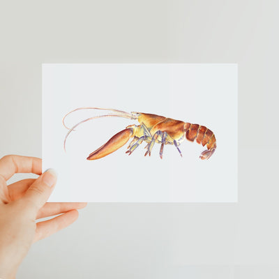 Northern Lobster Classic Postcard