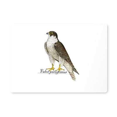 Peregrine Falcon Placemat