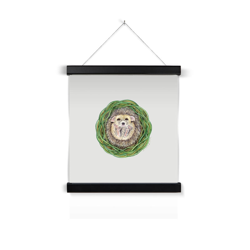 Hedgehog  Fine Art Print with Hanger