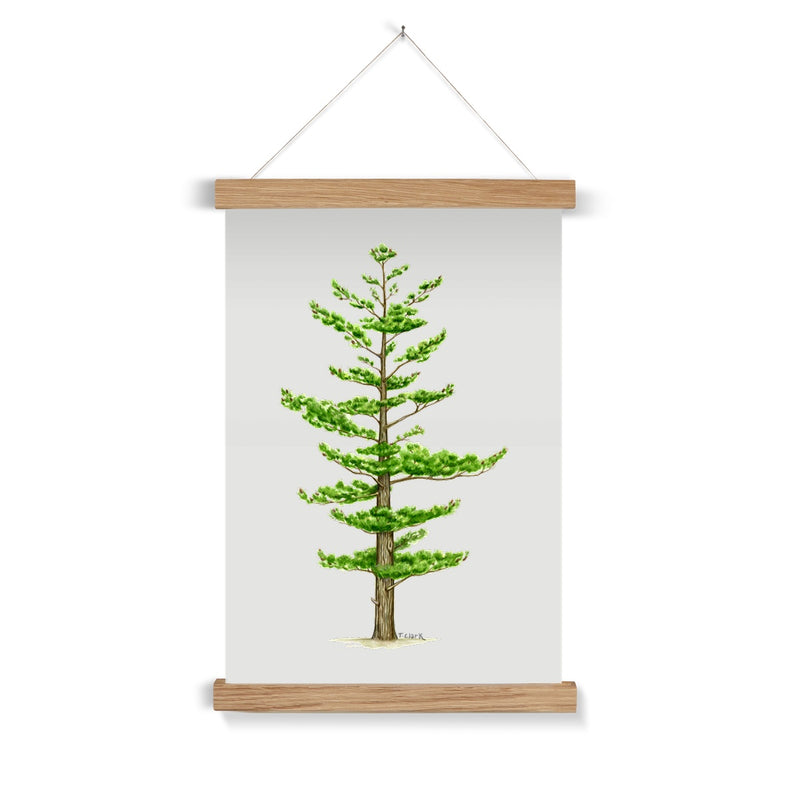 White Pine Fine Art Print with Hanger