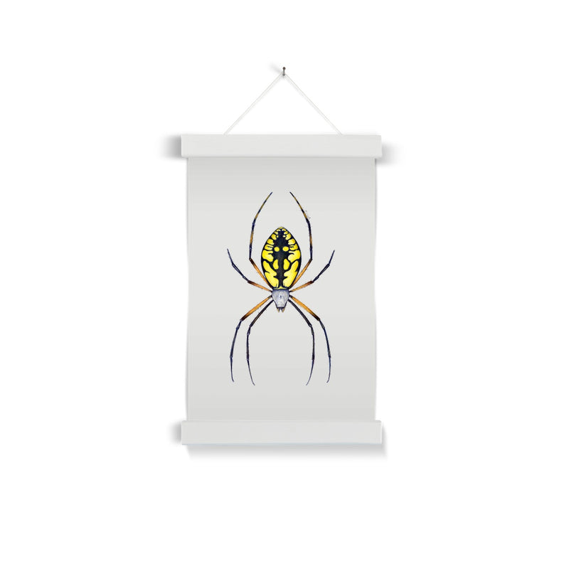 Argiope Spider Fine Art Print with Hanger