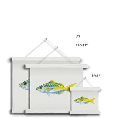 Yellowtail Snapper Fine Art Print with Hanger