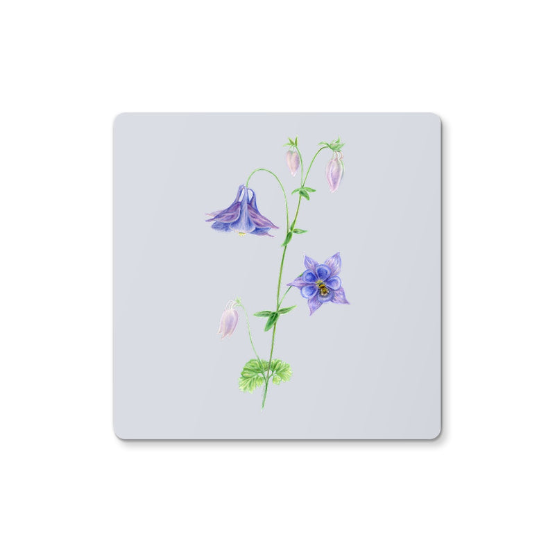 Aquilegia Coaster