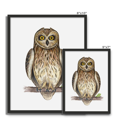 Short-eared Owl Framed Photo Tile