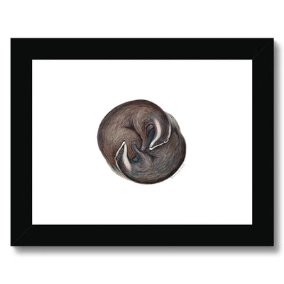 Yin Yang Badgers Framed & Mounted Print