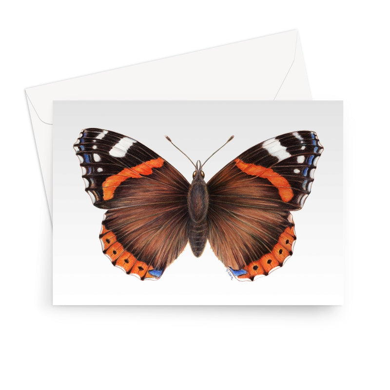 Red Admiral Butterfly Greeting Card