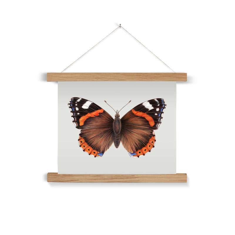Red Admiral Butterfly Fine Art Print with Hanger