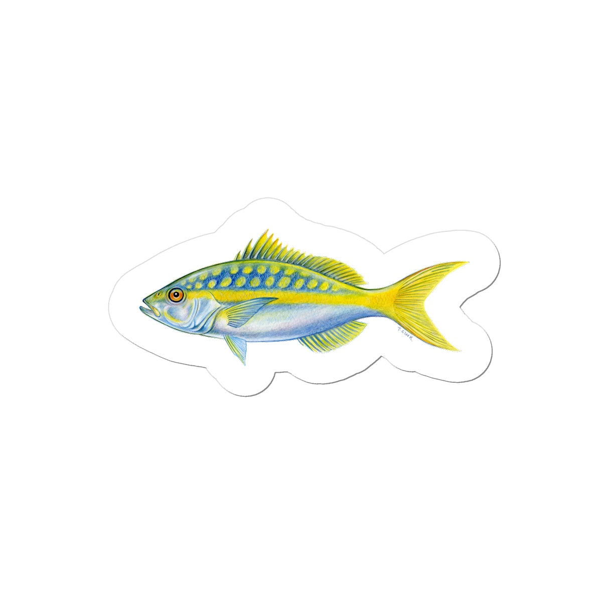 Yellowtail Snapper Sticker – Tamara L Clark