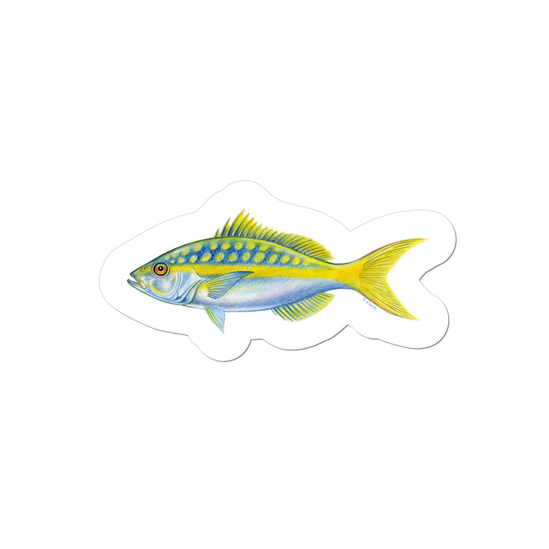 Yellowtail Snapper Sticker