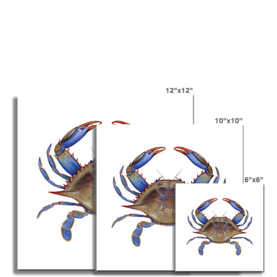 Blue Crab Fine Art Print